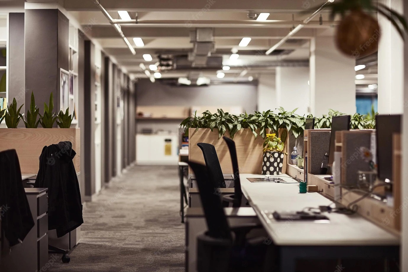 «Офис под ключ» - что включает услуга и каким компаниям может быть полезна?