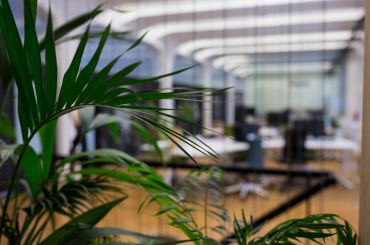 Офис с перспективой: инвестиции в пространство, которое не устареет