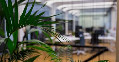 Офис с перспективой: инвестиции в пространство, которое не устареет